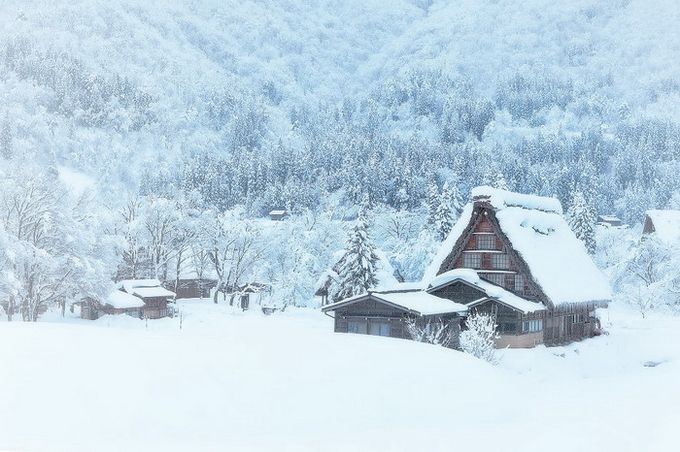 Меф гаш купить